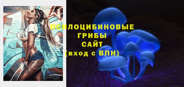 мескалин Богородицк