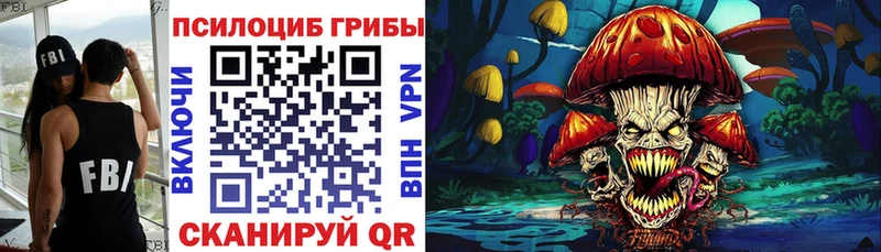 Купить закладки  Барыш  Псилоцибиновые грибы GOLDEN TEACHER 